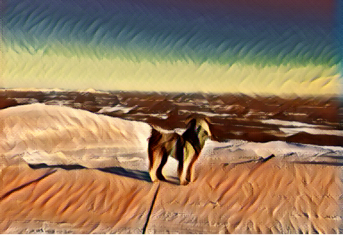 Presence Journal Awakening: Uncompromising Alignment With the Present Moment