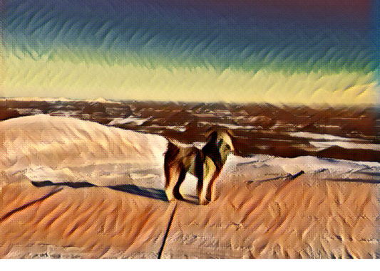 Presence Journal Awakening: Uncompromising Alignment With the Present Moment